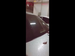 网红哆啦剧情演绎女儿看AV 按摩器自慰被爸爸发现推门进去啪啪啪对白淫荡